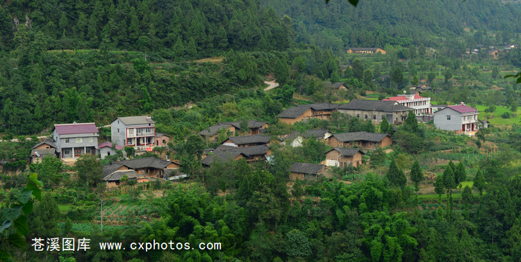 20150822苍溪龙山镇田坝村11