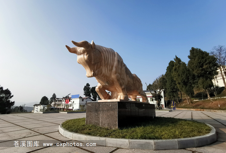 20190111苍溪五龙镇三会村08