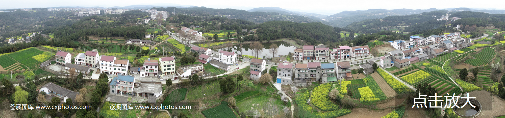 20190319苍溪五龙镇石板村07