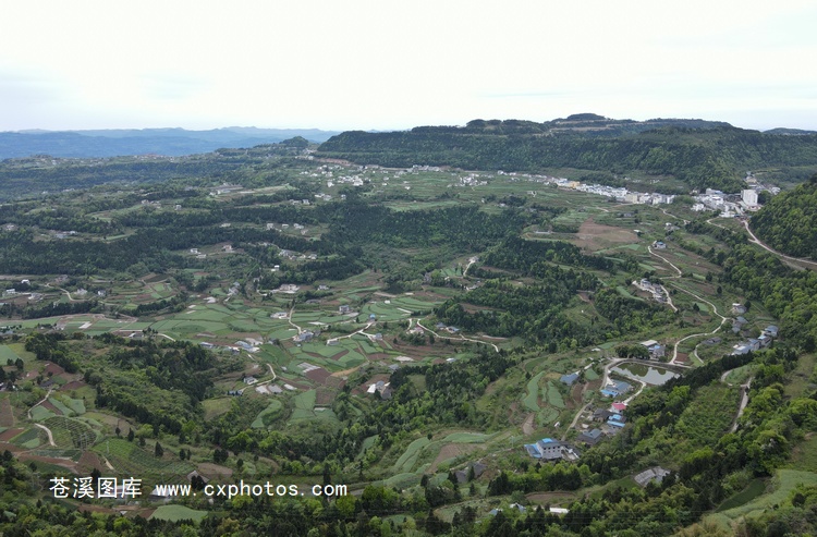 20210403苍溪云峰镇狮岭村