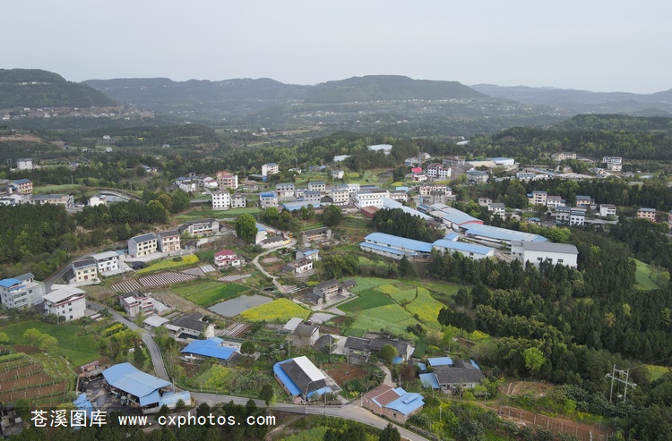 20210319苍溪陵江镇太平村