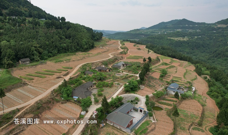 20210502苍溪云峰镇陈石村陈家山02