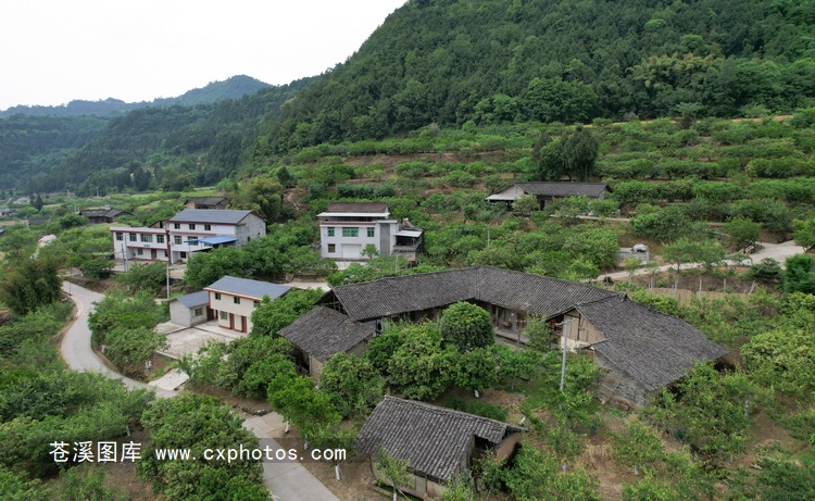 20210502苍溪云峰镇陈石村红旗沟03