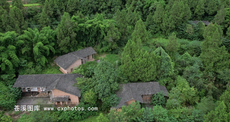 20210814苍溪月山乡南华村余家湾01