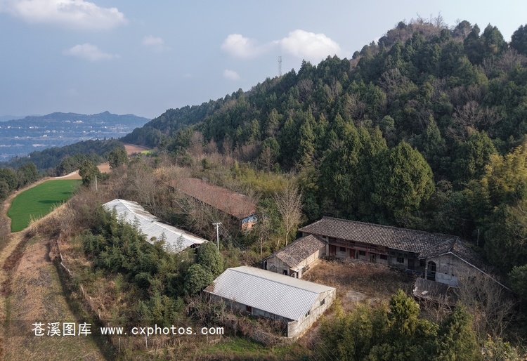 20260203苍溪百利镇新龙村白马梁养殖场02
