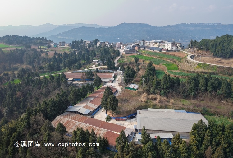 20260203苍溪百利镇新龙村新岭场养殖场02
