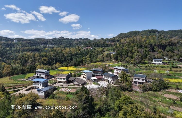 20260326苍溪东溪镇民主村贾家嘴05